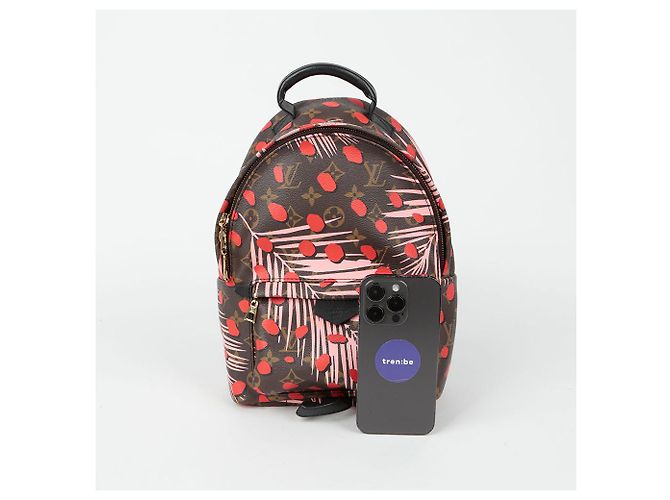 Louis Vuitton Zaino Palm Springs PM Multicolore - vista 7