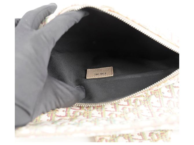 Saddle Dior Borsa a tracolla a spalla a sella Multicolore - vista 11