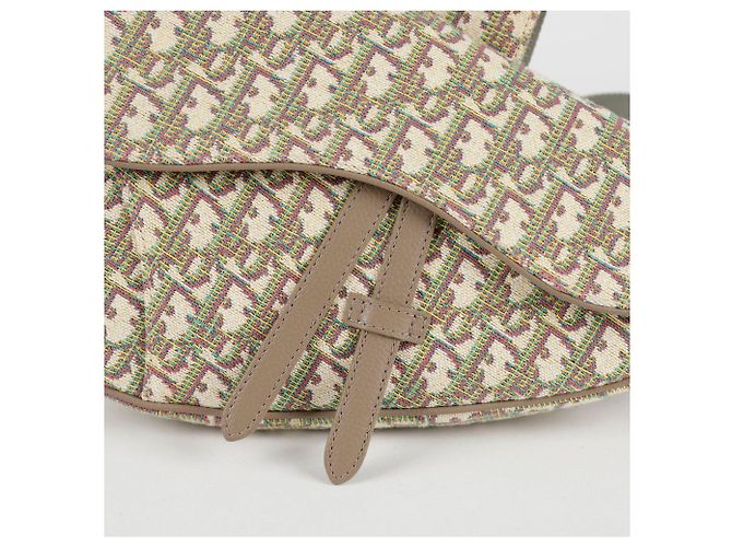 Saddle Dior Borsa a tracolla a spalla a sella Multicolore - vista 2