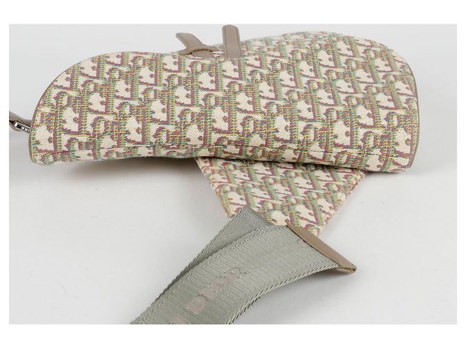 Saddle Dior Borsa a tracolla a spalla a sella Multicolore - vista 5