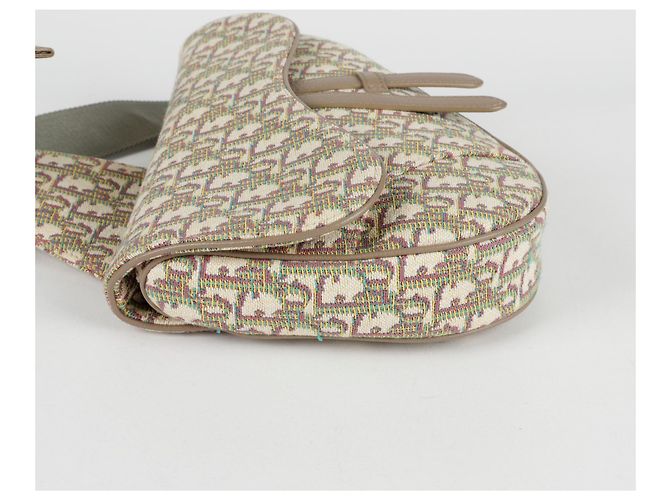 Saddle Dior Borsa a tracolla a spalla a sella Multicolore - vista 6