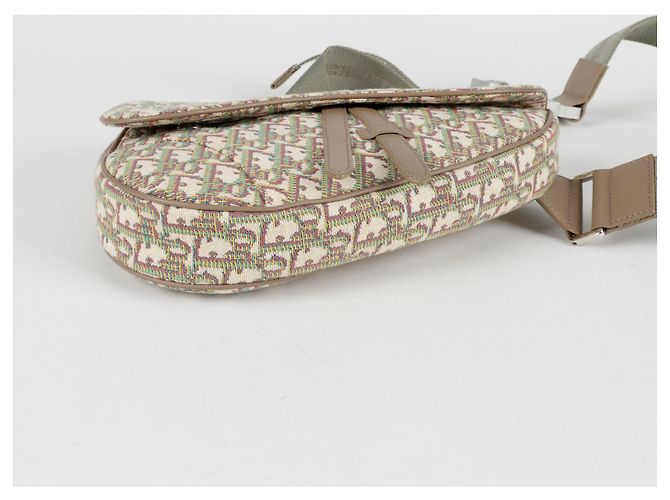 Saddle Dior Borsa a tracolla a spalla a sella Multicolore - vista 7