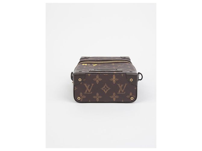 Louis Vuitton Borsa a tracolla Vertical Box Trunk Marrone - vista 4
