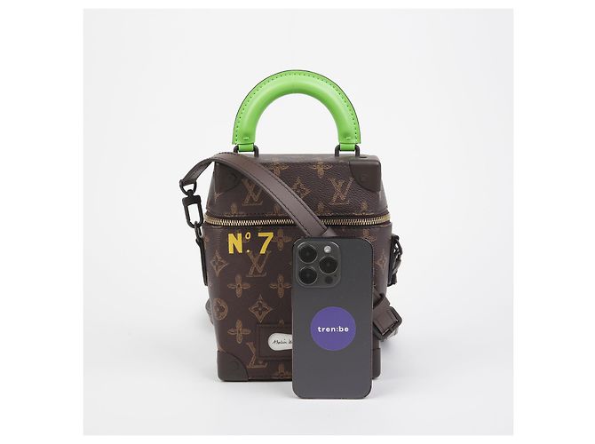 Louis Vuitton Borsa a tracolla Vertical Box Trunk Marrone - vista 6