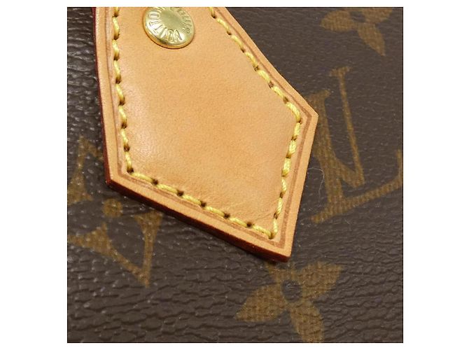 Borsa Boston Monogram Speedy Louis Vuitton Marrone - vista 3
