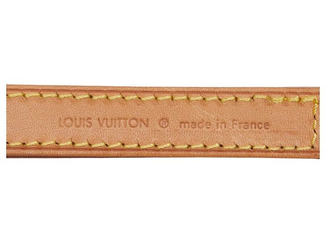 Cinghia a spalla in pelle marrone Louis Vuitton - vista 4