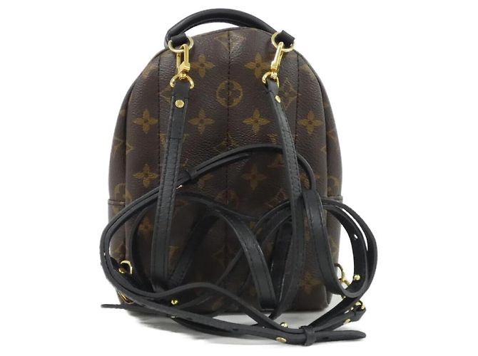 Zaino Mini Palm Springs Monogram Louis Vuitton Marrone - vista 2