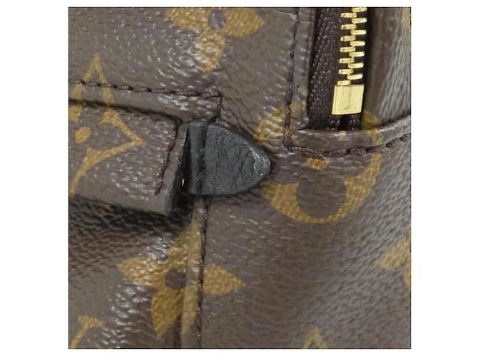 Zaino Mini Palm Springs Monogram Louis Vuitton Marrone - vista 4