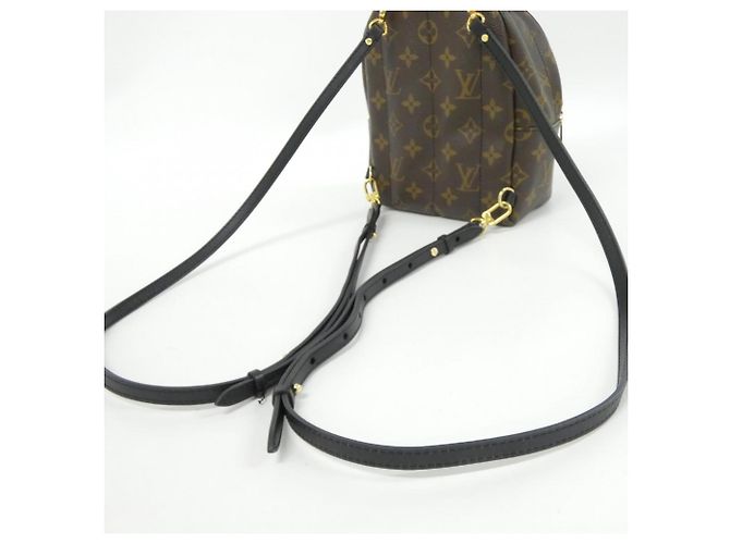 Zaino Mini Palm Springs Monogram Louis Vuitton Marrone - vista 7