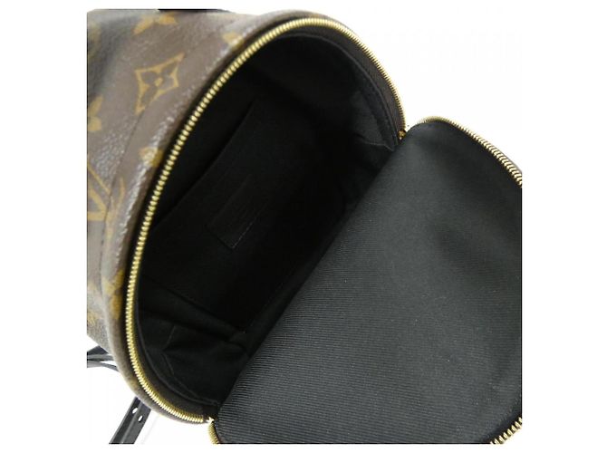 Zaino Mini Palm Springs Monogram Louis Vuitton Marrone - vista 8