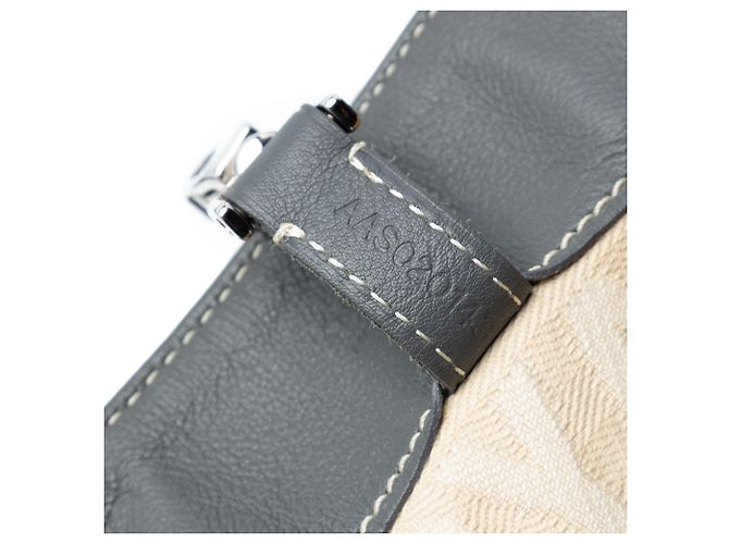 Goyard Grigio Goyardine Voltaire Marrone - vista 6
