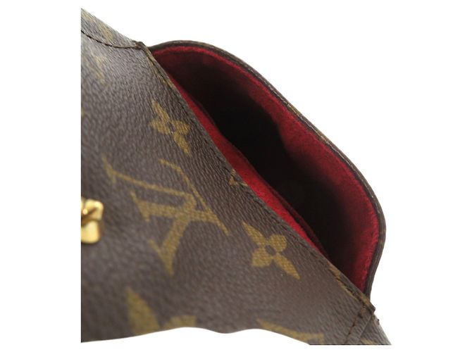 Borsa Pouch Partition Monogram Louis Vuitton Marrone - vista 5