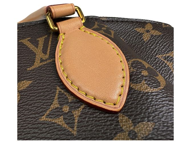 Borsa a mano Monogram Rivoli PM di Louis Vuitton Marrone - vista 4