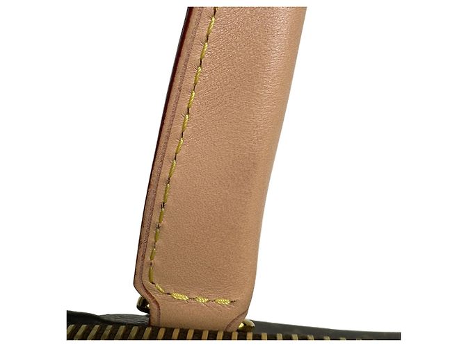 Borsa a mano Monogram Rivoli PM di Louis Vuitton Marrone - vista 6