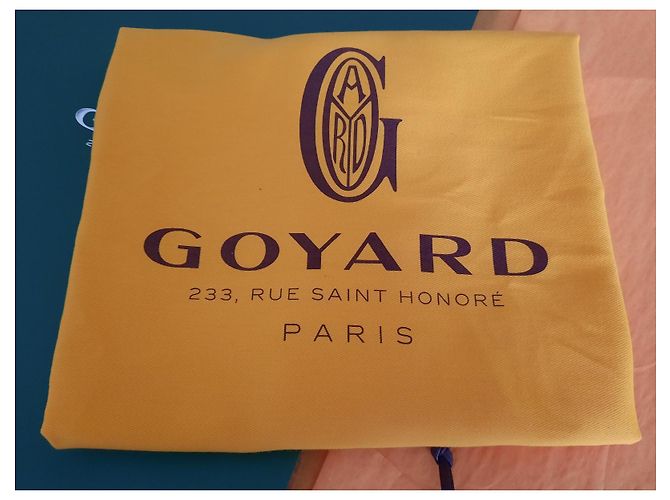GOYARD Saint Louis piccolo modello VERDE - vista 10