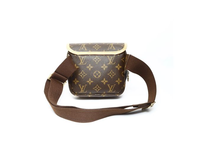 Borsa a Spalla Monogram Bosfeel PM di Louis Vuitton Marrone - vista 2