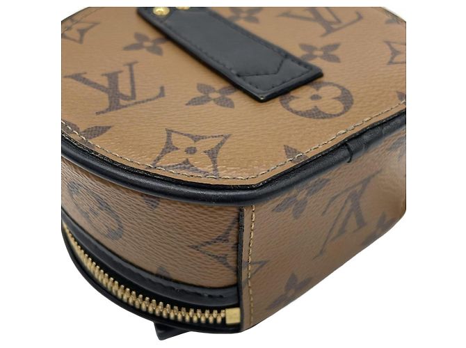 Borsa a Spalla Mini Boite Chapeau Monogram Reverse Louis Vuitton Marrone - vista 3