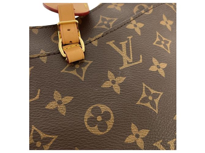 Borsa a Spalla Louis Vuitton Monogram Odeon MM Marrone - vista 4