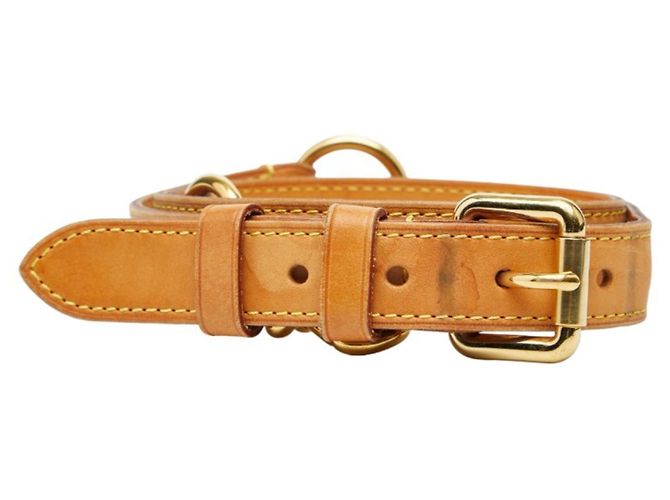 Cinghia a spalla in pelle beige Louis Vuitton - vista 2