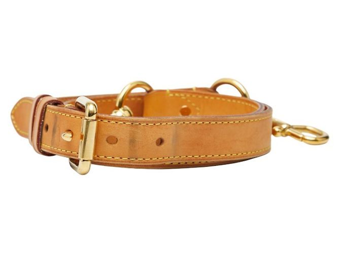 Cinghia a spalla in pelle beige Louis Vuitton - vista 3