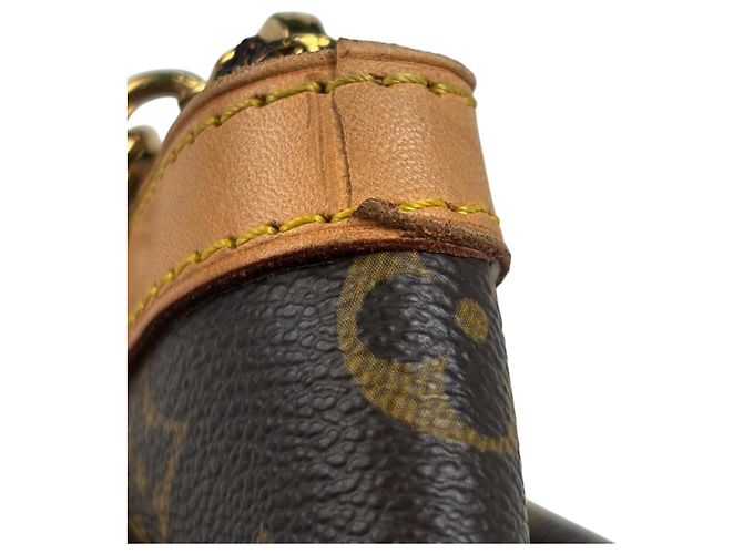 Borsa Tote Tivoli PM di Louis Vuitton Marrone - vista 7