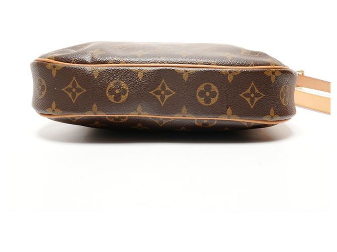 Borsa a Spalla Odeon PM Monogramma Louis Vuitton Marrone - vista 7