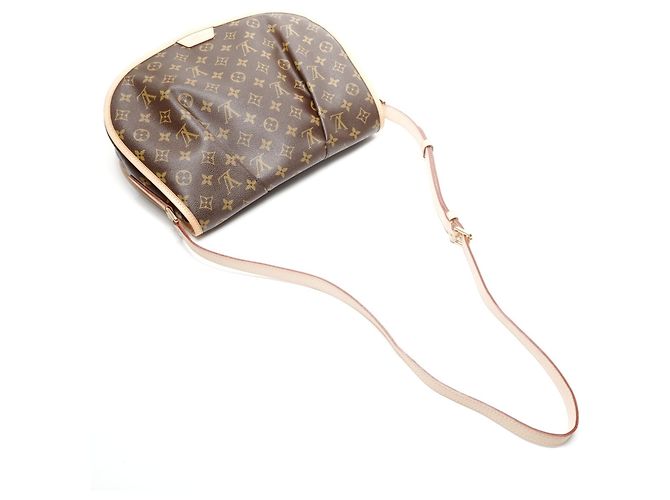 Borsa a Spalla Monogram Menilmontant MM di Louis Vuitton Marrone - vista 9