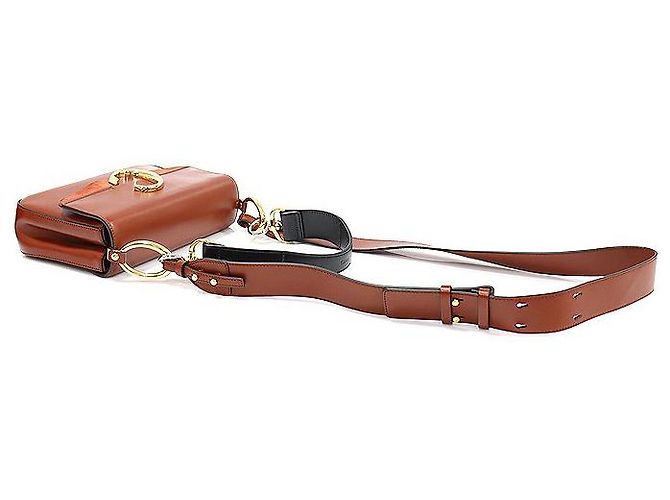 Chloé Double Carry Piccolo in Pelle di Vitello Lucida in Marrone Sepia - vista 4