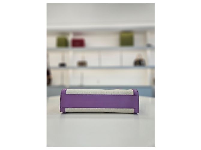 Cabas Céline Borsa Tote Verticale Piccola e Borsa a Spalla Porpora - vista 4