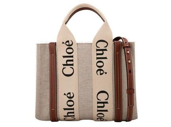 Chloé Borsa tote piccola marrone Woody - vista 2