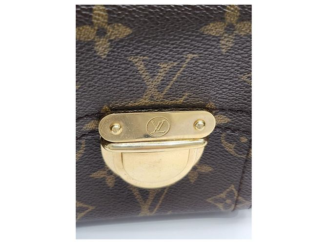 Louis Vuitton Borsa Tote Monogram PM Manhattan Marrone - vista 18