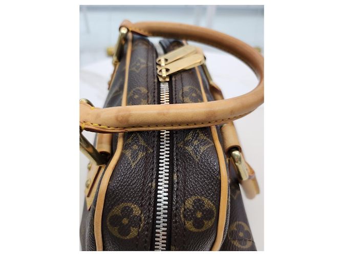 Louis Vuitton Borsa Tote Monogram PM Manhattan Marrone - vista 19