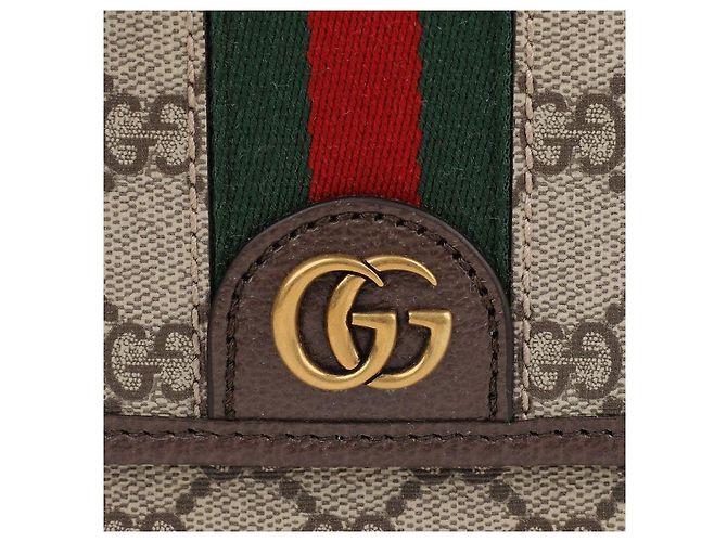 Gucci Borsa Messenger Media Opidia Marrone - vista 9