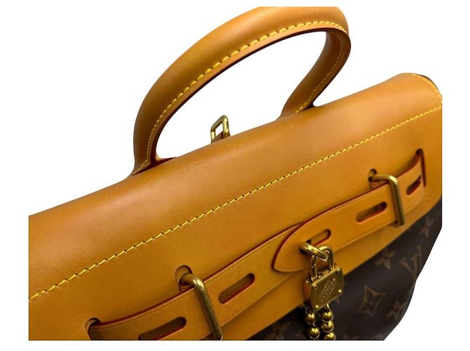 Louis Vuitton Défroisseur Monogram Marron - vue 9