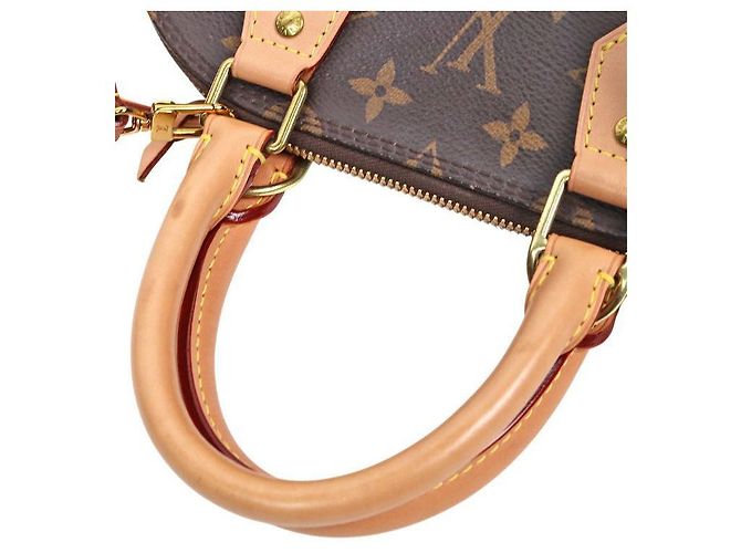 Louis Vuitton Borsa Tote Alma Monogram Multicolore - vista 10