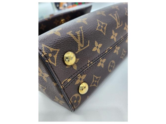 Louis Vuitton Borsa Tote e a Spalla Cluny BB Marrone - vista 18