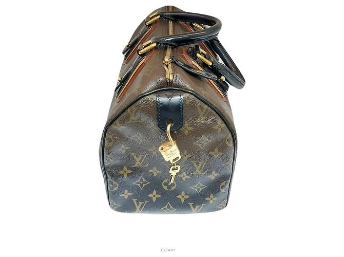 Louis Vuitton Limitierte Mirage Gradation Speedy Tote Tasche Braun - Ansicht 3