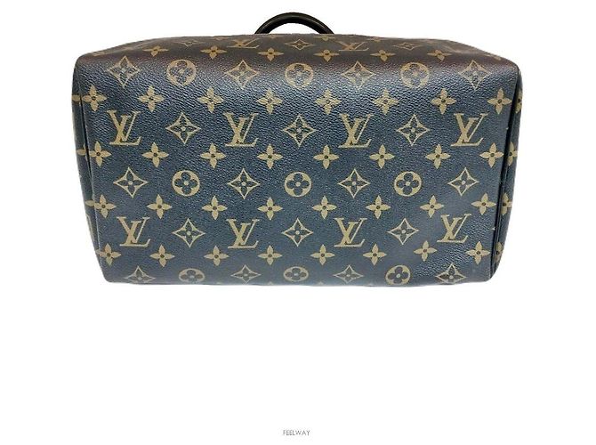 Louis Vuitton Limitierte Mirage Gradation Speedy Tote Tasche Braun - Ansicht 4