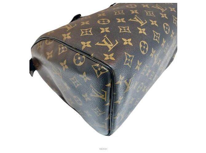 Louis Vuitton Limitierte Mirage Gradation Speedy Tote Tasche Braun - Ansicht 6