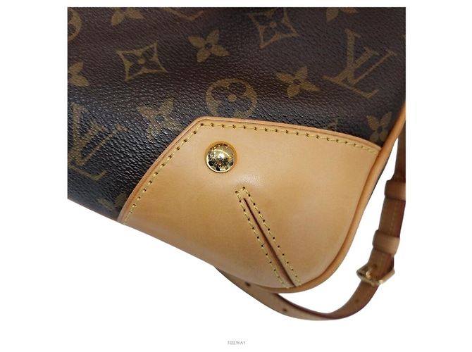 Louis Vuitton Borsa a Spalla Estrela MM Marrone - vista 7