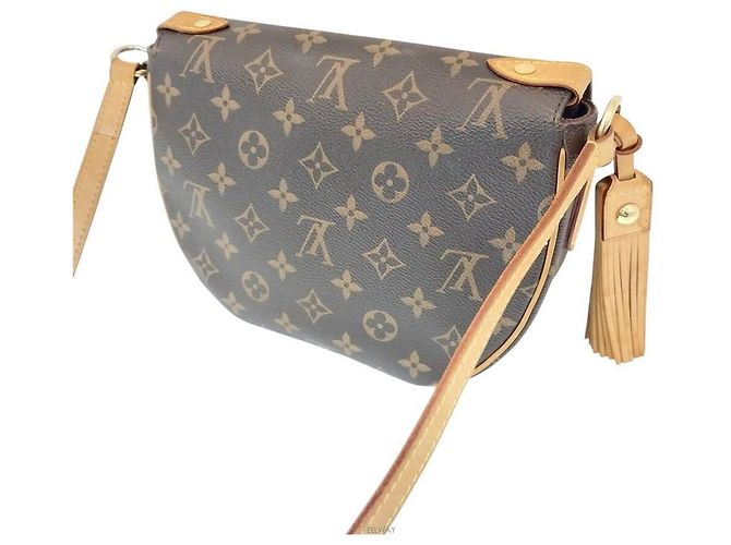 Louis Vuitton Borsa a tracolla Spring Cloud Marrone - vista 2