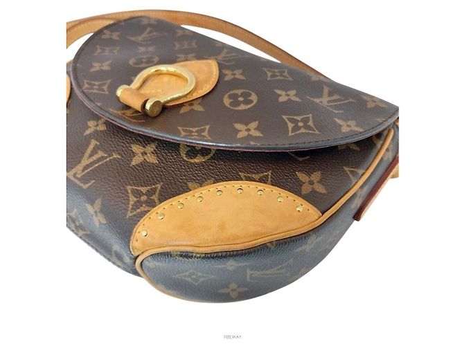 Louis Vuitton Borsa a tracolla Spring Cloud Marrone - vista 4