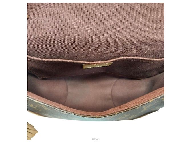 Louis Vuitton Borsa a tracolla Spring Cloud Marrone - vista 5