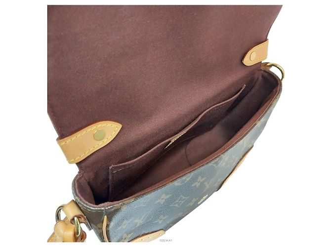 Louis Vuitton Borsa a tracolla Spring Cloud Marrone - vista 6