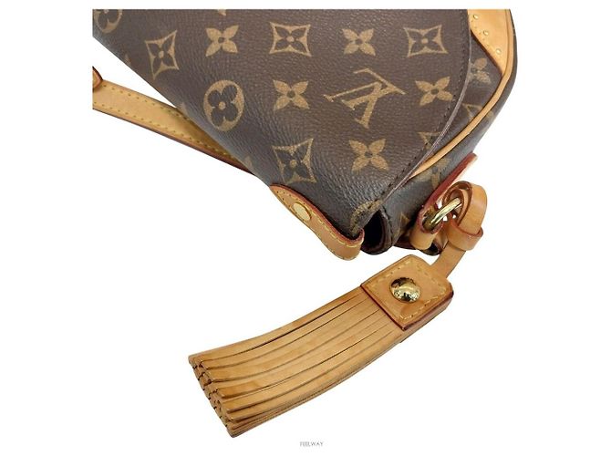 Louis Vuitton Borsa a tracolla Spring Cloud Marrone - vista 7