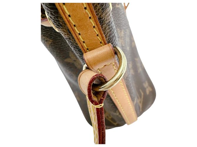 Noe Borsa a Spalla Nano Noé in Tela Monogram Louis Vuitton Marrone - vista 15