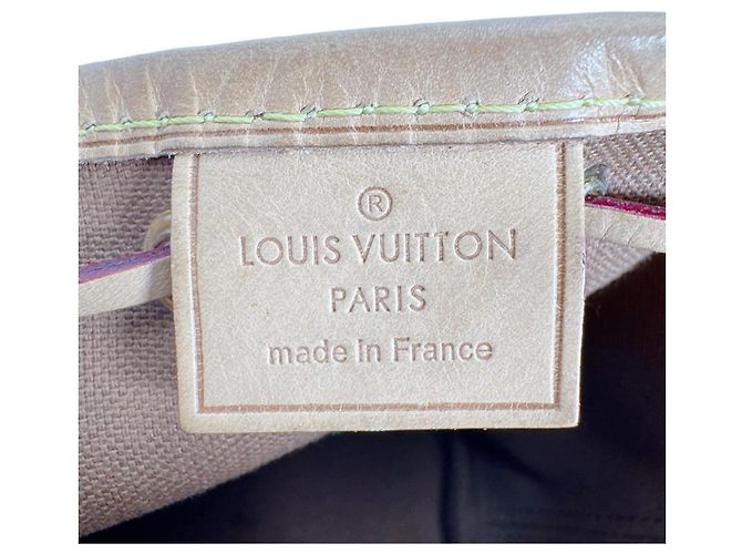 Noe Borsa a Spalla Nano Noé in Tela Monogram Louis Vuitton Marrone - vista 18
