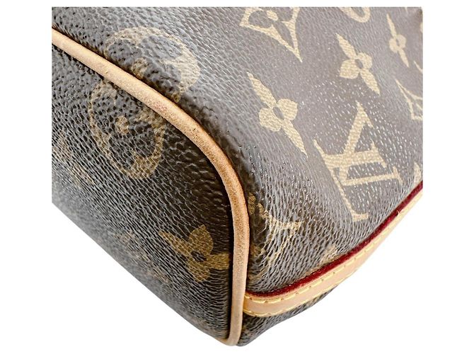 Noe Borsa a Spalla Nano Noé in Tela Monogram Louis Vuitton Marrone - vista 6