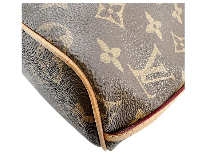 Noe Borsa a Spalla Nano Noé in Tela Monogram Louis Vuitton Marrone - vista 8