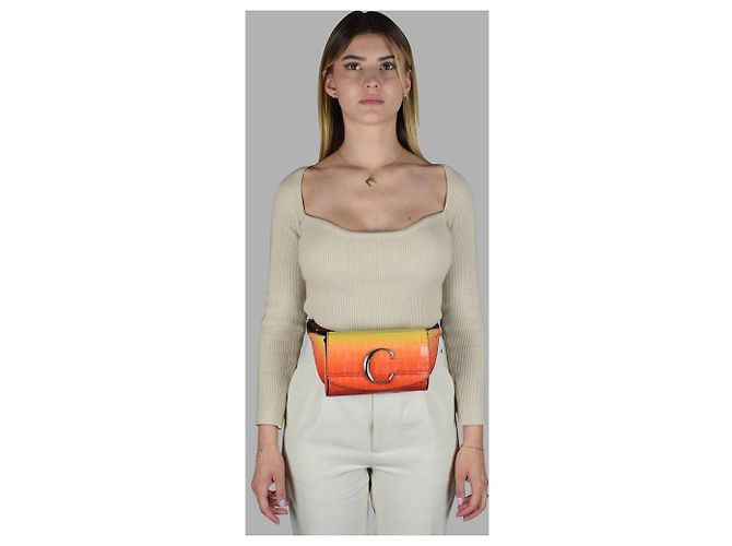 C Belt Bag Sac banane C de Chloé - vue 4